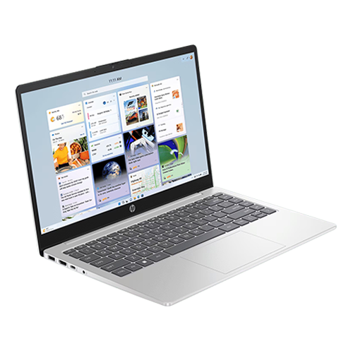 HP 14 inch Laptop 14-ep0261TU, Silver (Intel Core i3-1315U)