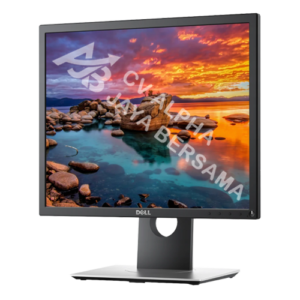 Dell Pro Plus Monitor P1917S 19" Square  Resolution 1280 x 1024