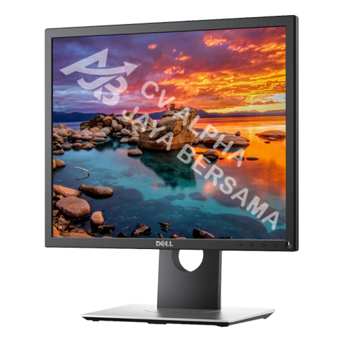 Dell Pro Plus Monitor P1917S -1 Dell Pro Plus Monitor P1917S 19" Square Resolution 1280 x 1024