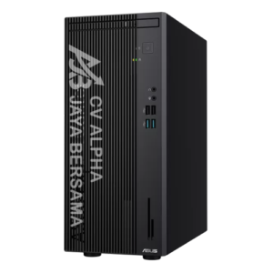ASUS D501MER-3850000001 - Mini Tower PC