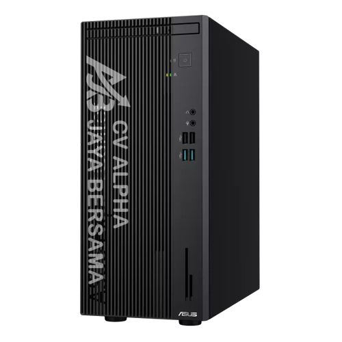 ASUS D501MER-3850000001 - Mini Tower PC