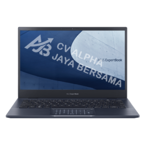 ASUS ExpertBook B5 (B5302CBA-EG7110X)