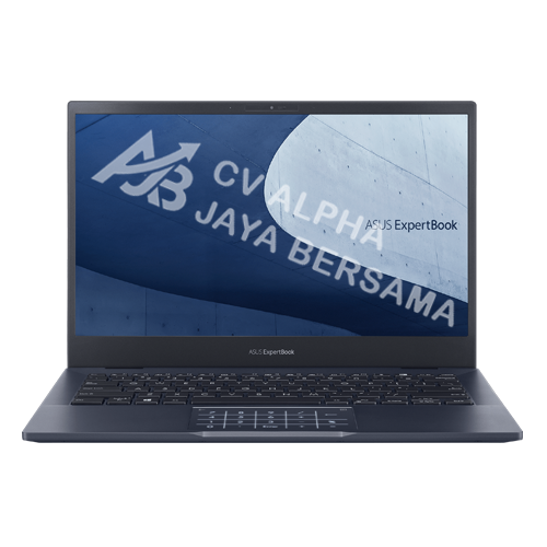 ASUS ExpertBook B5 (B5302CBA-EG7110X)