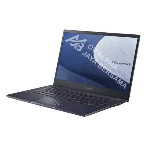 ASUS ExpertBook B5 (B5302CBA-EG7110X)