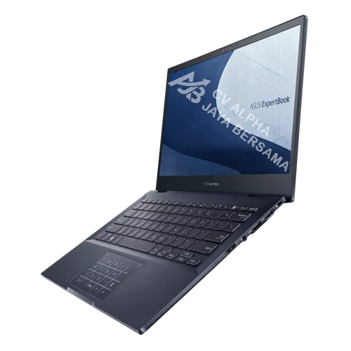 ASUS ExpertBook B5 (B5302CBA-EG7110X)