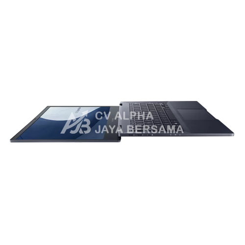 ASUS ExpertBook B5 (B5302CBA-EG7110X)