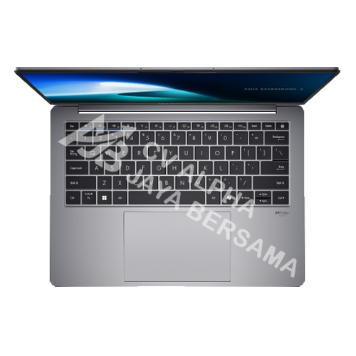 ASUS ExpertBook P5405CSA-NZ7310WS